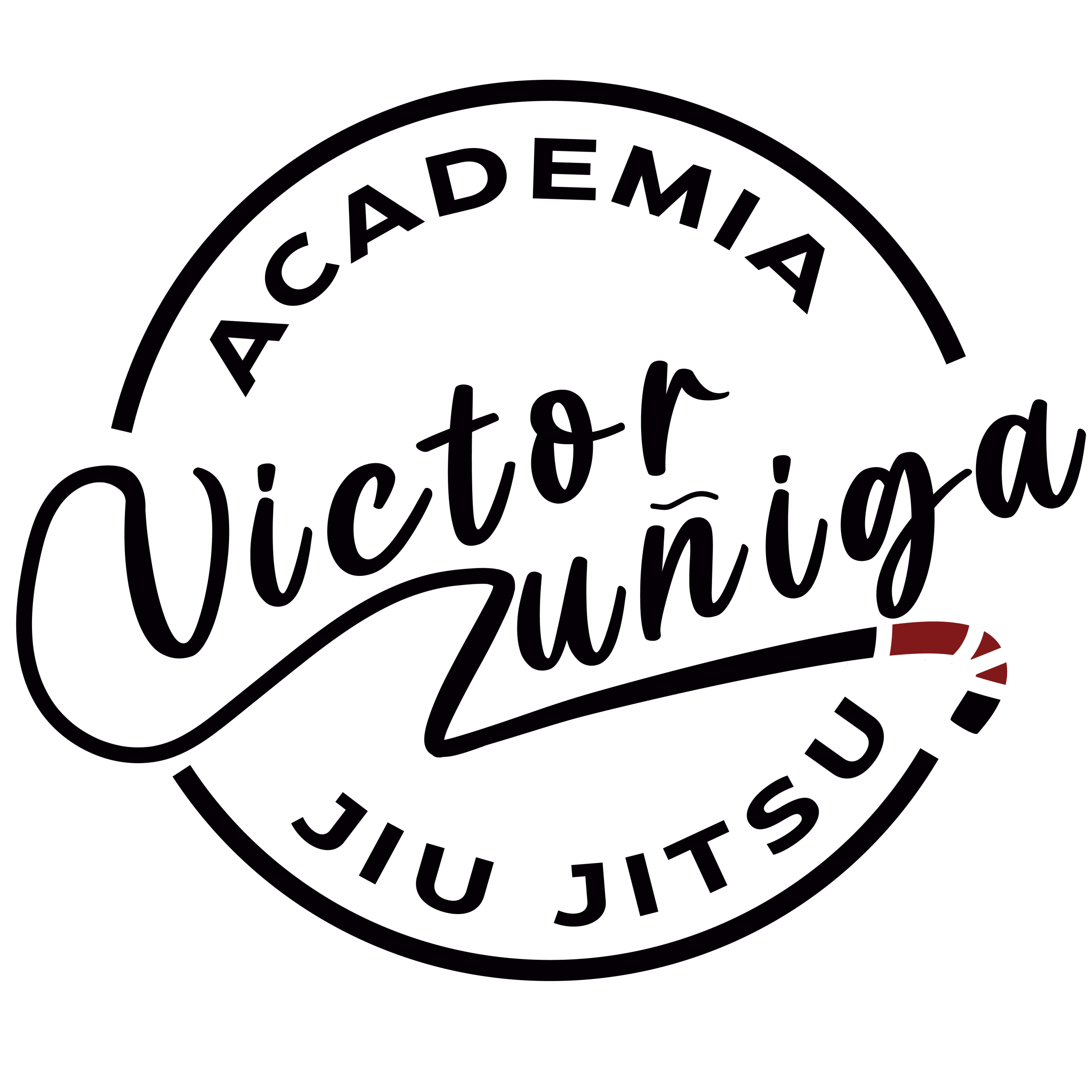 VZ TRANSPARENCIA_Mesa de trabajo 1 (3) (1)